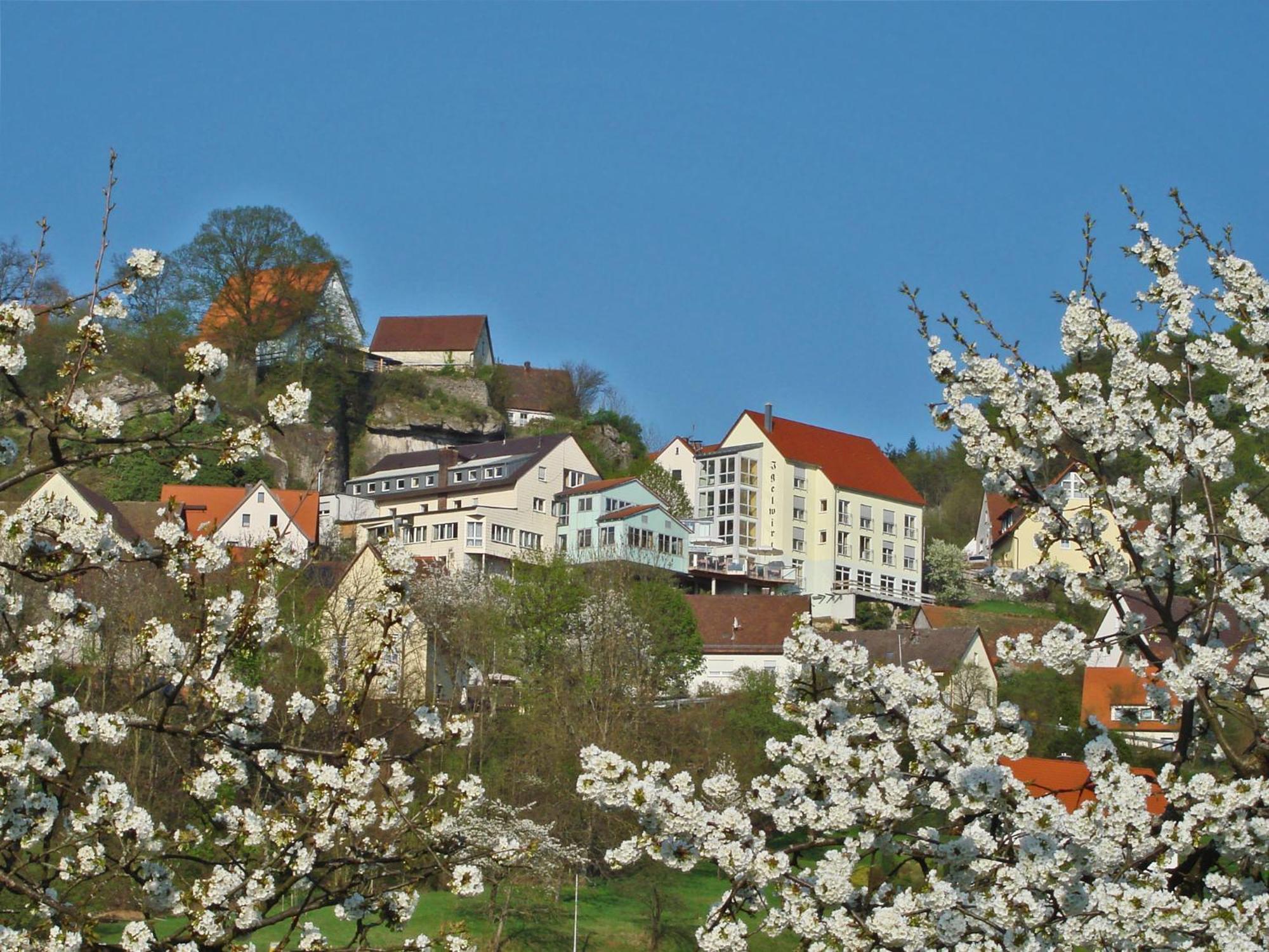 Berggasthof Hotel Igelwirt Schnaittach Eksteriør billede